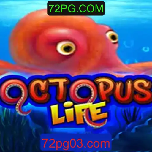 Explorando o Mundo de OctopusLife: Um Guia Completo para o Novo Colecionador